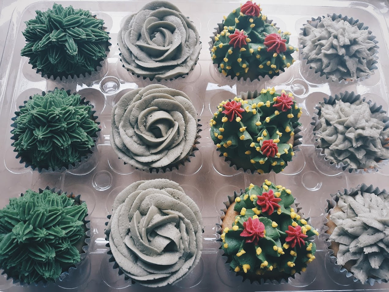 Succulent Cupcakes