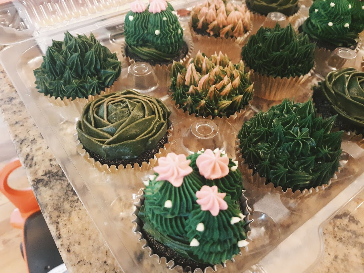 Succulent Cupcakes