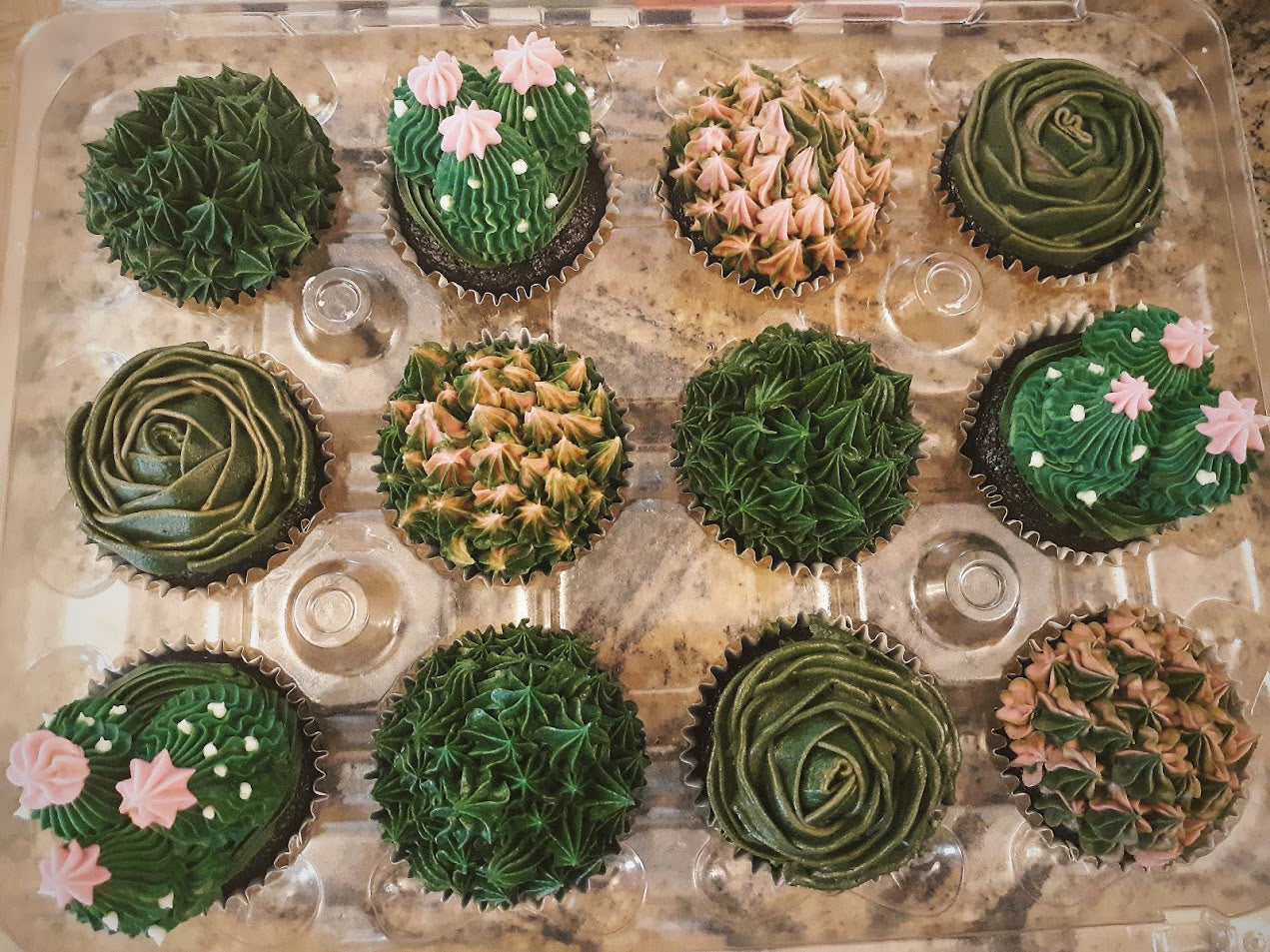 Succulent Cupcakes