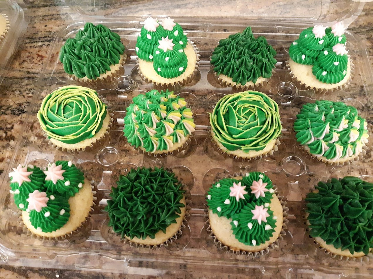 Succulent Cupcakes