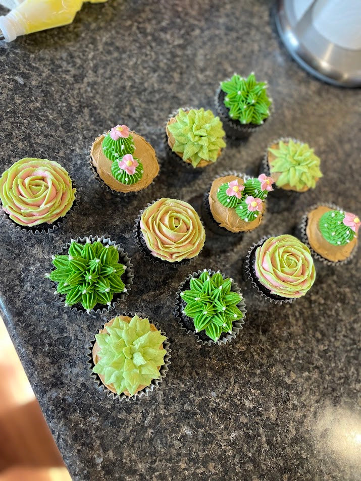 Succulent Cupcakes